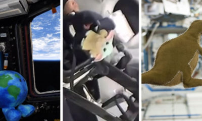Baby YODA Dahil ISS’ye Giden Oyuncaklar